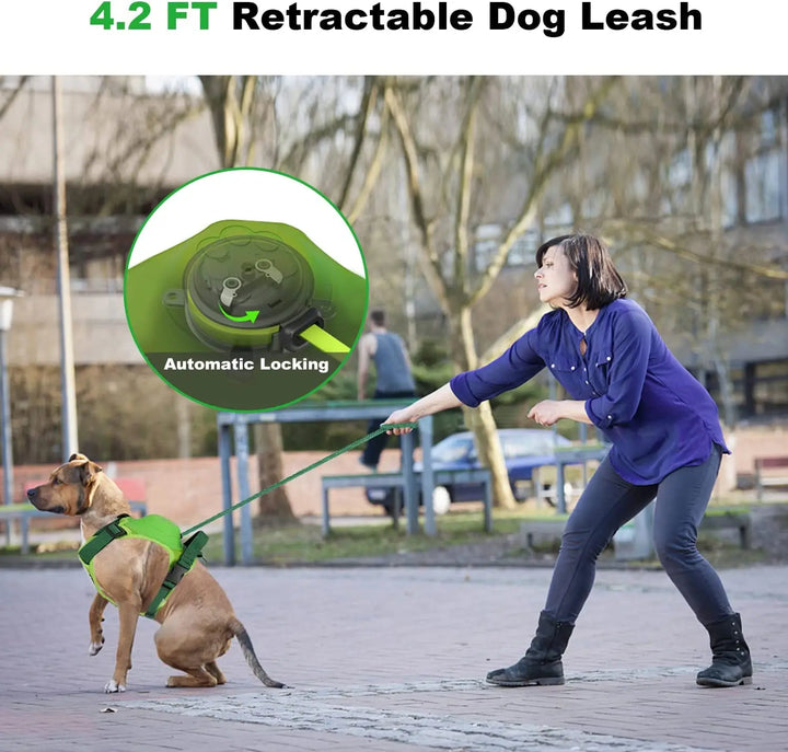 Dog Harness And Retractable Leash Set