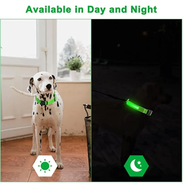 LED Flashing Dog Collar